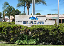 Bellflower