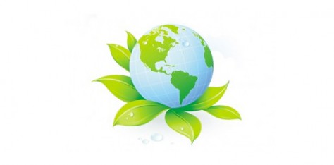 Environmental Responsibility